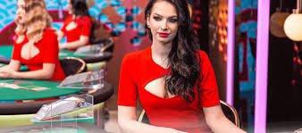 44bet